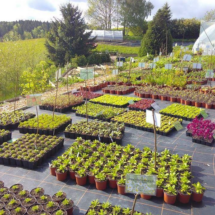 PB portes ouvertes PB portes ouvertes