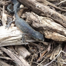 12519455_682763461866319_616470226_n 12519455_682763461866319_616470226_n