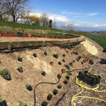 12930916_219303865107308_2059377081_n 12930916_219303865107308_2059377081_n