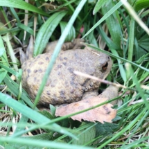 12934868_1737444433140935_1941856384_n 12934868_1737444433140935_1941856384_n