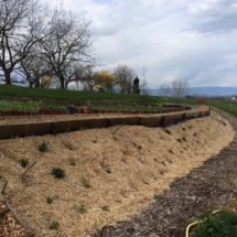 12950483_238783063142799_335975921_n 12950483_238783063142799_335975921_n