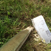 13094363_1012299618805441_7042654732507130412_n 13094363_1012299618805441_7042654732507130412_n