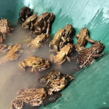 13098981_1623512464537996_924940025_n 13098981_1623512464537996_924940025_n