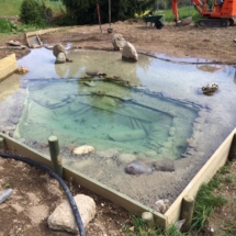 13102876_1012896652079071_8526805562360411354_n 13102876_1012896652079071_8526805562360411354_n