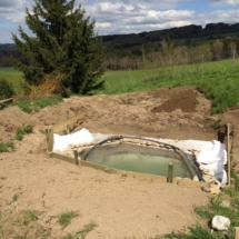 13103354_1006308086071261_4096008787020153665_n 13103354_1006308086071261_4096008787020153665_n