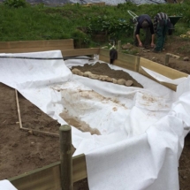 13108734_1596559933992944_341775543_n 13108734_1596559933992944_341775543_n