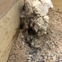 13151027_1717770405164151_1142472955_n 13151027_1717770405164151_1142472955_n