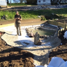 13151544_1010041289031274_5180373036804922715_n 13151544_1010041289031274_5180373036804922715_n