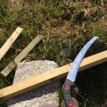 13173860_1012299592138777_4491320971713700412_n 13173860_1012299592138777_4491320971713700412_n