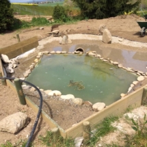 13177253_1012299612138775_855966628938903915_n 13177253_1012299612138775_855966628938903915_n