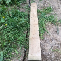 13177741_1012299538805449_3042430482997448380_n 13177741_1012299538805449_3042430482997448380_n