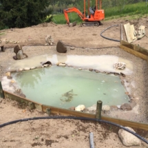 13177756_1012299645472105_1542943015654066310_n 13177756_1012299645472105_1542943015654066310_n