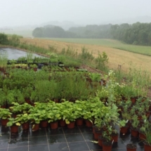 13413225_264718737218767_2080760373_n 13413225_264718737218767_2080760373_n