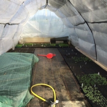 13557039_977486829015541_67851201_n 13557039_977486829015541_67851201_n