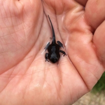 13643710_1632647193716280_1837549085_n 13643710_1632647193716280_1837549085_n