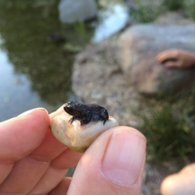 13767463_1151517288249195_2089111930_n 13767463_1151517288249195_2089111930_n